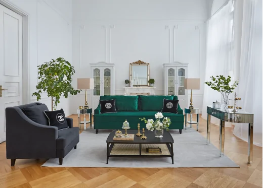 salon z zielona kanapa